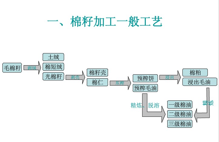 常見的幾種油料作物使用螺旋榨油機(jī)壓榨的工藝(上)